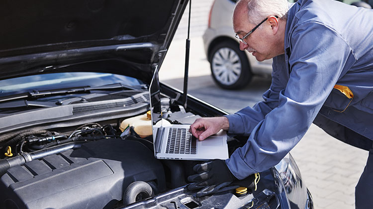 Изучение фотографий и визуальная оценка